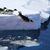 Kaiserpinguine brauchen stabiles Meereis für ihre Brut - aber wegen des Klimawandels bricht dieses immer früher weg. (Archivbild) - Foto: Liu Shiping/Xinhua/dpa