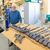 Jeremy Lockwood mit Fossilien von Istiorachis macarthurae - Foto: -/University of Portsmouth/dpa