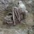 Dieser Fund soll älter als 9.000 Jahre sein. - Foto: Yousuke Kaifu;Hirofumi Matsumura/dpa