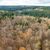Der deutsche Wald ist zu einer Treibhausgas-Quelle geworden. Das will Bundesumweltminister Carsten Schneider ändern.  - Foto: Sebastian Kahnert/dpa