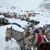 Ein Schneesturm war über das Gebiet hinweggezogen. - Foto: Lingsuiye/Xinhua/AP/dpa