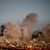 Nach zwei Jahren Krieg sind große Teile des Gazastreifens zerstört.  - Foto: Emilio Morenatti/AP/dpa