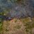 Flammen breiten sich in einem Amazonas-Gebiet aus. (Archivbild) - Foto: Fernando Souza/ZUMA Press Wire/dpa