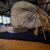 Luftig und hell: Der Pavillon der Philippinen. - Foto: Hannes P. Albert/dpa