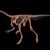 Knochen des Dinosauriers Huayracursor jaguensis - Foto: ---/CONICET Argentina/dpa