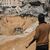 Mitglieder der islamistischen Hamas suchen nach Leichen israelischer Geiseln.  - Foto: Abdel Kareem Hana/AP/dpa