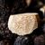 Ein aufgeschnittener Burgundertrüffel (Tuber uncinatum) auf einem Markt in der Schweiz. (Archivbild) - Foto: Valentin Flauraud/KEYSTONE/dpa