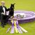 «Penny», die Dobermann-Dame, ist die 42. weibliche Gewinnerin in der 150 Jahre alten Geschichte des Westminster-Hundewettbewerbs.  - Foto: Yuki Iwamura/AP/dpa