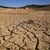 Langfristig warnen Wissenschaftler vor einer Austrocknung Südspaniens infolge des Klimawandels. - Foto: Álex Zea/EUROPA PRESS/dpa