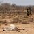 Dürren treten in Ostafrika und am Horn von Afrika häufiger und in kürzeren Abständen auf. (Archivbild) - Foto: Ben Curtis/dpa